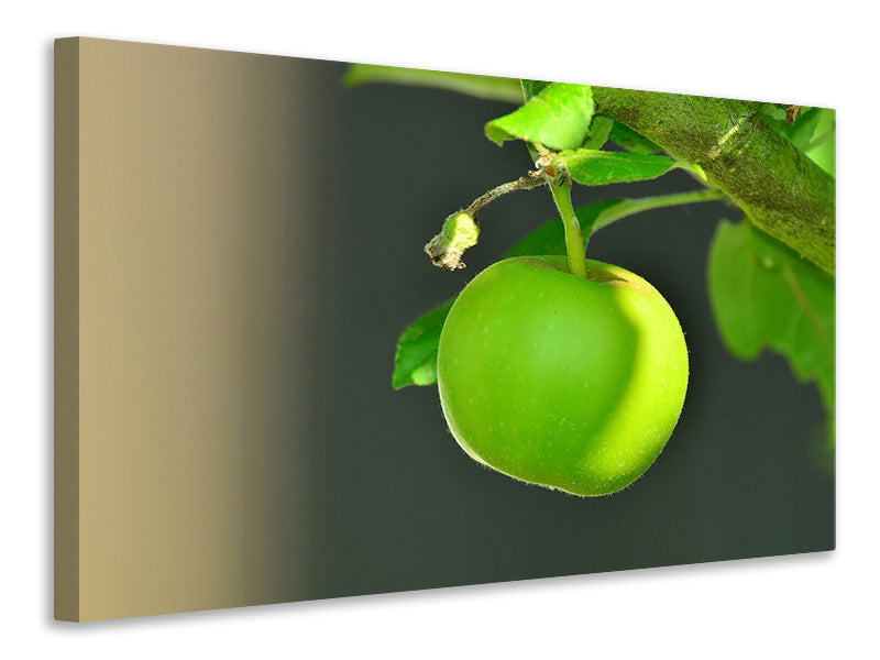 3-piece-canvas-print-green-apple