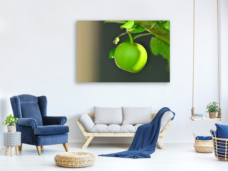 3-piece-canvas-print-green-apple