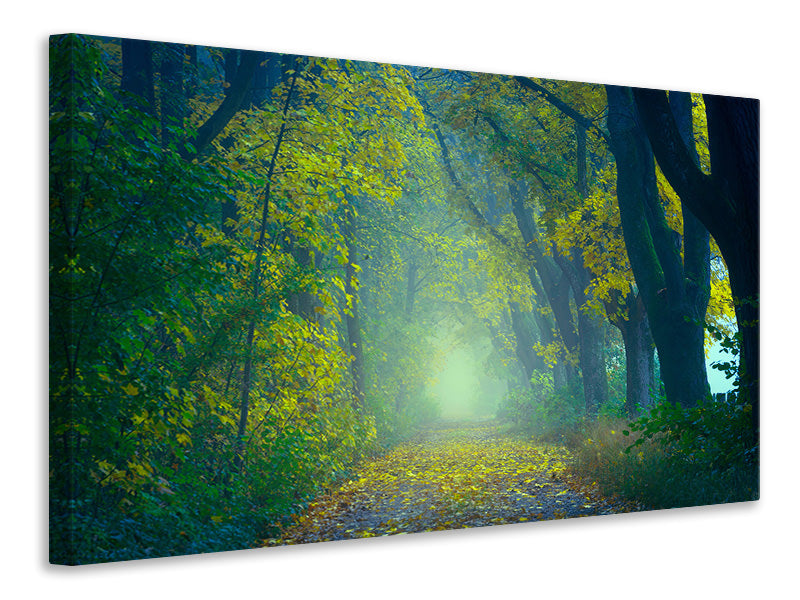 3-piece-canvas-print-green-forest