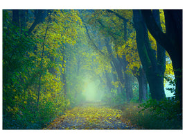 4-piece-canvas-print-green-forest