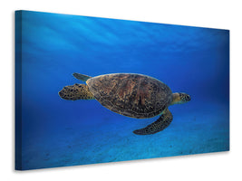 4-piece-canvas-print-green-turtle-in-the-blue