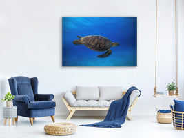 4-piece-canvas-print-green-turtle-in-the-blue