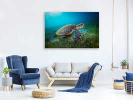 modern-4-piece-canvas-print-green-turtle