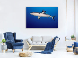 canvas-print-shark-in-the-dark-sea