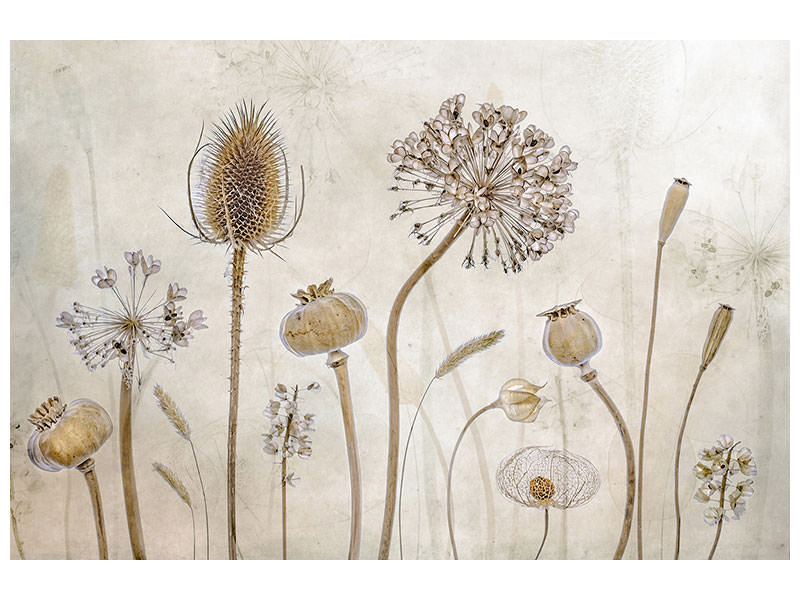 modern-4-piece-canvas-print-growing-old
