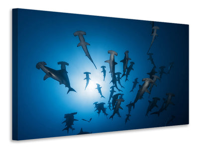 modern-3-piece-canvas-print-hammerhead-sharks-in-the-light