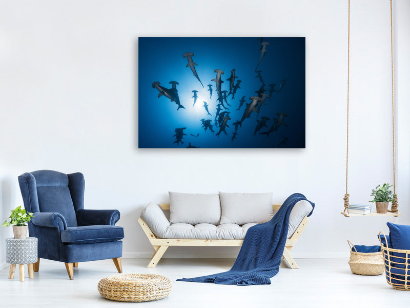 modern-3-piece-canvas-print-hammerhead-sharks-in-the-light