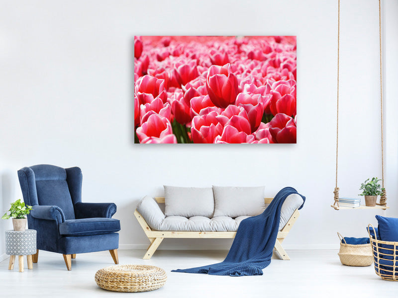 modern-3-piece-canvas-print-happy-tulip-field