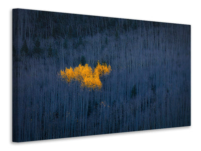panoramic-canvas-print-heart-of-aspens