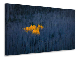 4-piece-canvas-print-heart-of-aspens