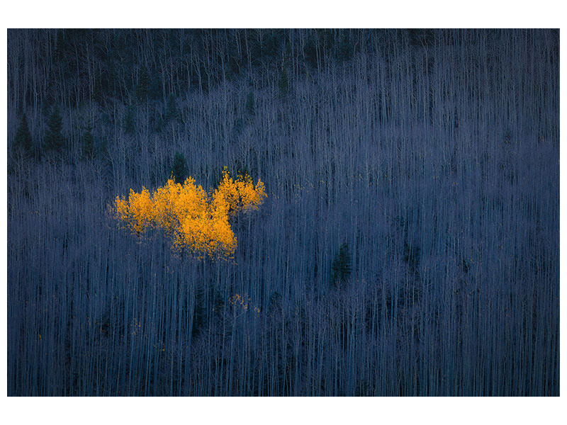 panoramic-3-piece-canvas-print-heart-of-aspens