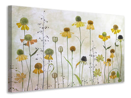 3-piece-canvas-print-helenium