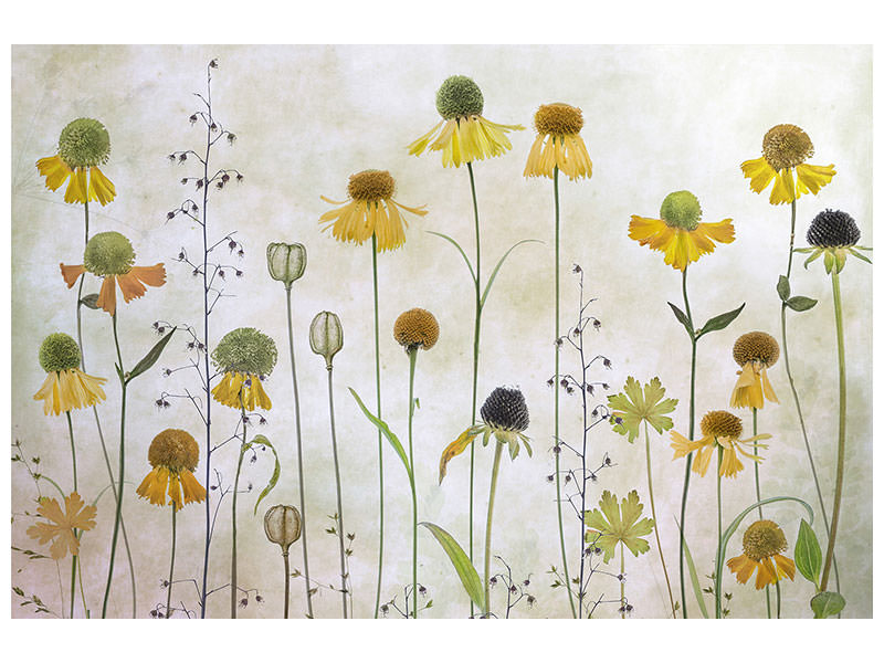 modern-3-piece-canvas-print-helenium