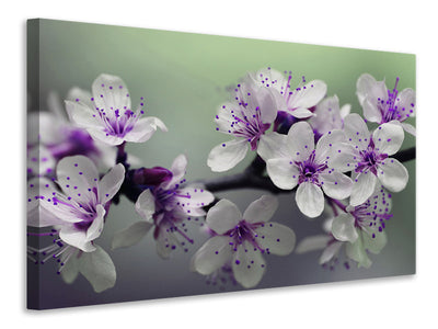 5-piece-canvas-print-heyday