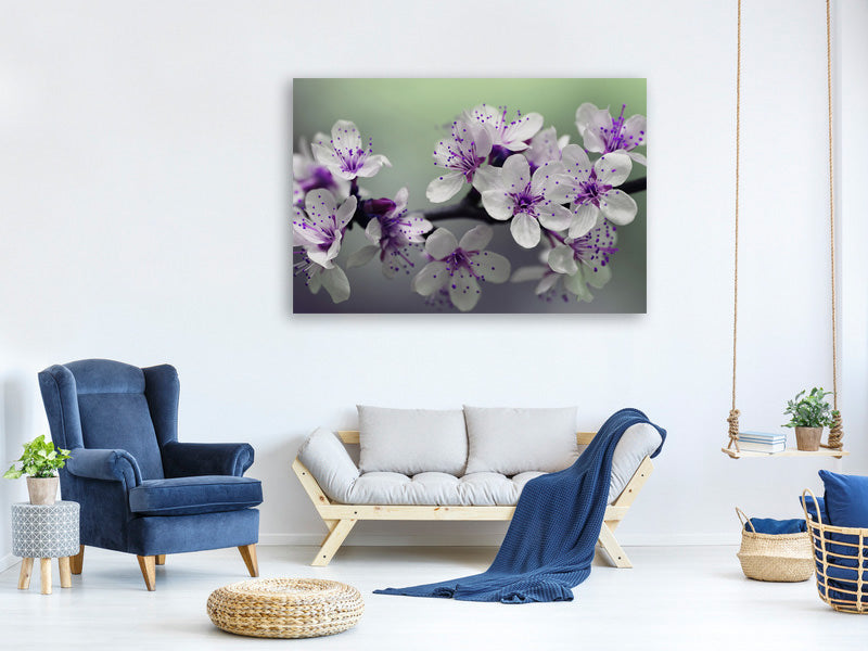 3-piece-canvas-print-heyday