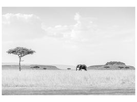 modern-4-piece-canvas-print-high-key-savannah