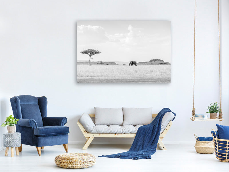 panoramic-3-piece-canvas-print-high-key-savannah