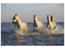 3-piece-canvas-print-horses-in-the-sea