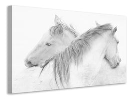 panoramic-canvas-print-horses