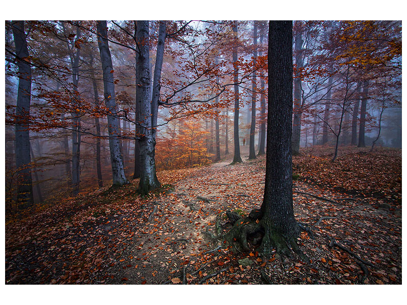 4-piece-canvas-print-i-was-lost-i-was-found