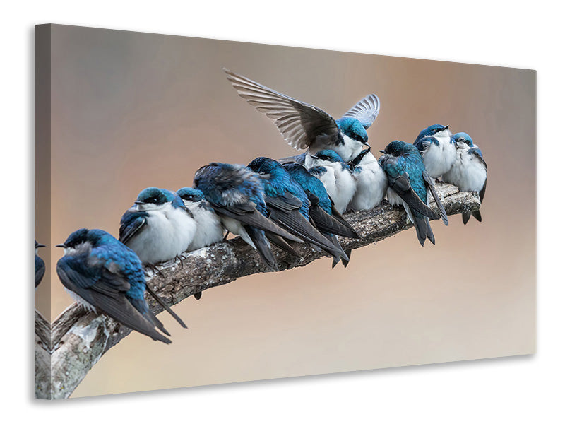 5-piece-canvas-print-i-will-make-myself-some-room