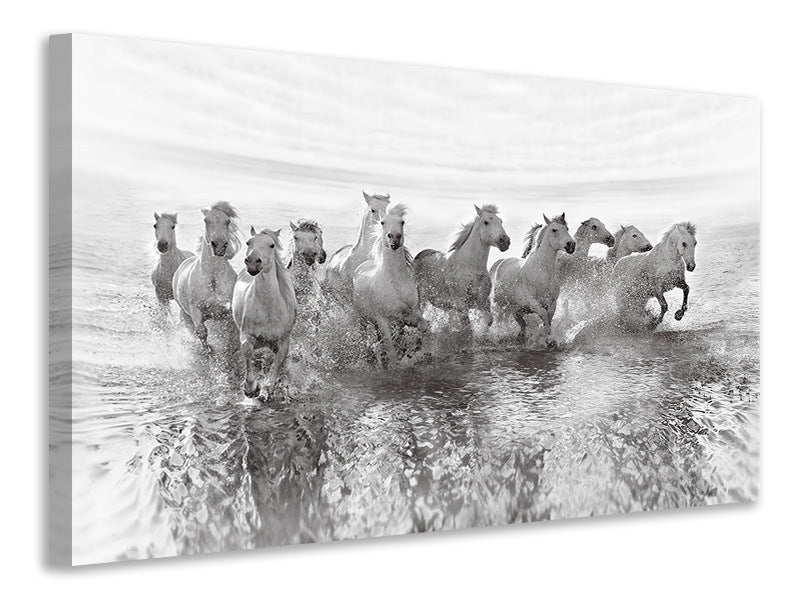 panoramic-3-piece-canvas-print-illusion-of-power