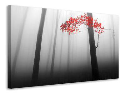 3-piece-canvas-print-illusion