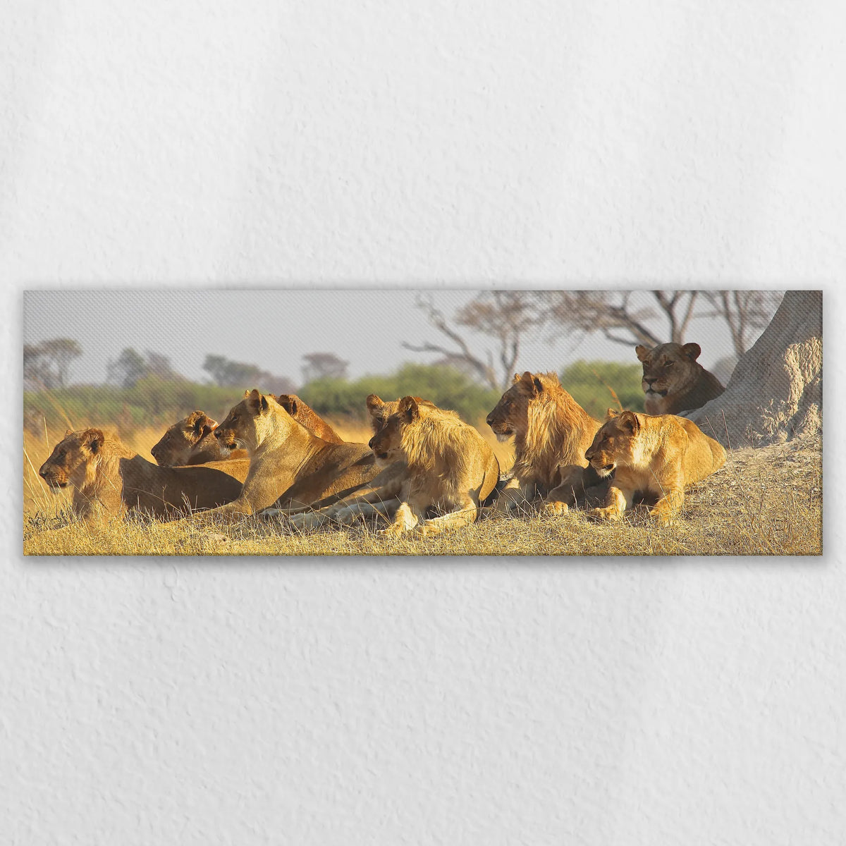 LW-120P040