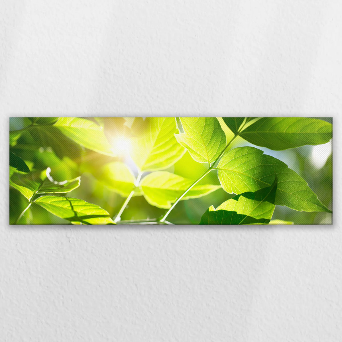 LW-120P040