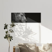 LW-150P050
