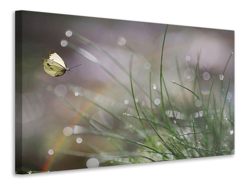 panoramic-canvas-print-imminent-landing