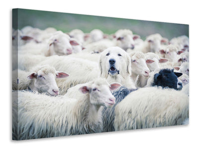 panoramic-3-piece-canvas-print-in-disguise