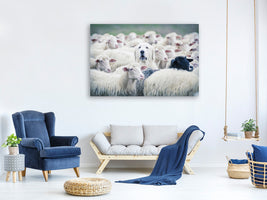 panoramic-3-piece-canvas-print-in-disguise