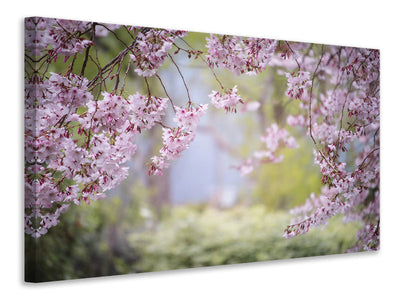 3-piece-canvas-print-in-the-beautiful-spring