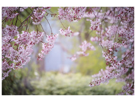 5-piece-canvas-print-in-the-beautiful-spring