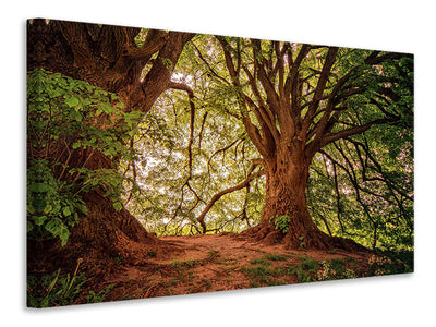 modern-4-piece-canvas-print-in-the-dense-forest