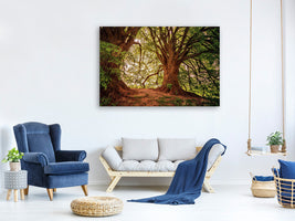 modern-3-piece-canvas-print-in-the-dense-forest