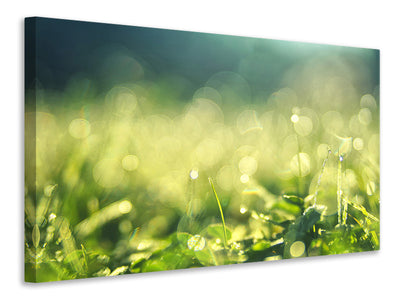 3-piece-canvas-print-in-the-meadow