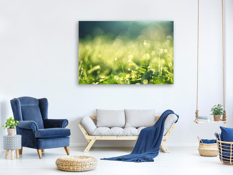 modern-4-piece-canvas-print-in-the-meadow