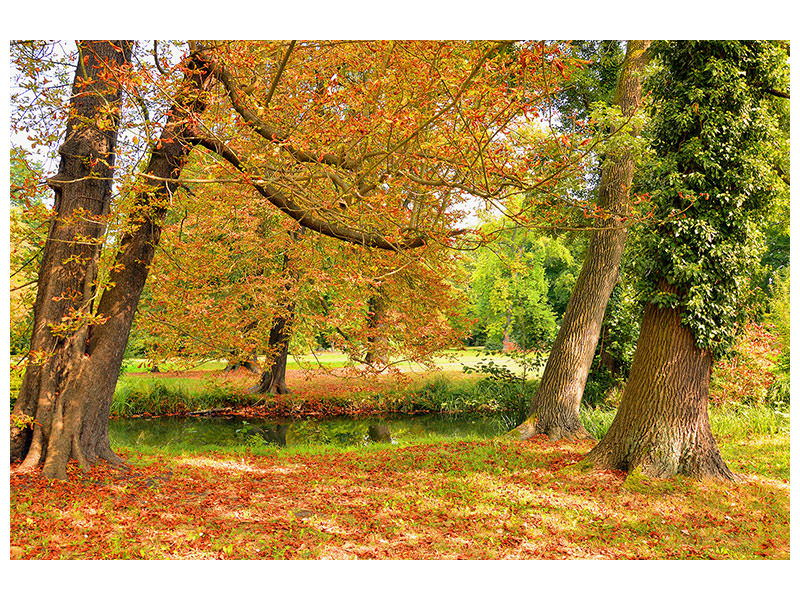 3-piece-canvas-print-in-the-middle-of-autumn-trees