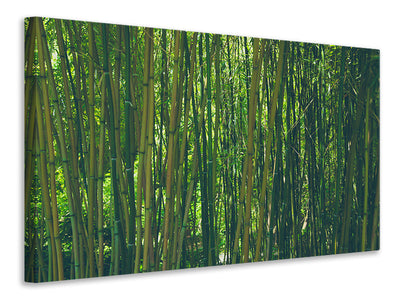 5-piece-canvas-print-in-the-middle-of-the-bamboo