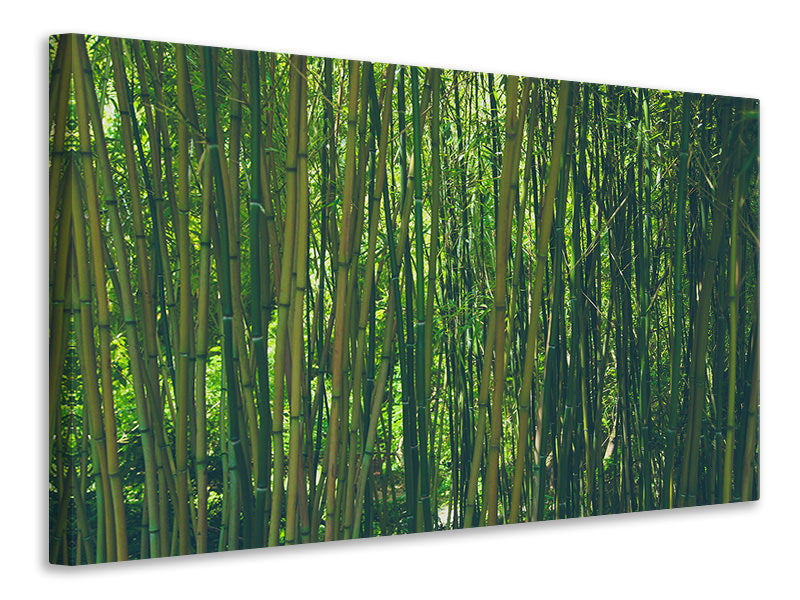 modern-4-piece-canvas-print-in-the-middle-of-the-bamboo