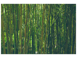 4-piece-canvas-print-in-the-middle-of-the-bamboo