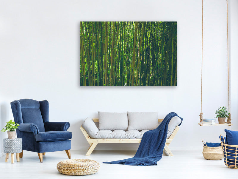 4-piece-canvas-print-in-the-middle-of-the-bamboo