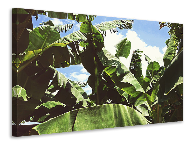 panoramic-canvas-print-in-the-middle-of-the-jungle