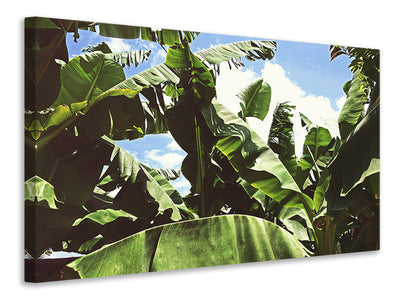 modern-3-piece-canvas-print-in-the-middle-of-the-jungle