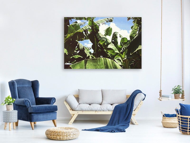 5-piece-canvas-print-in-the-middle-of-the-jungle