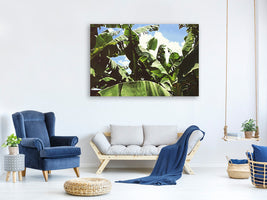 panoramic-canvas-print-in-the-middle-of-the-jungle