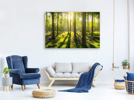 5-piece-canvas-print-in-the-middle-of-the-woods