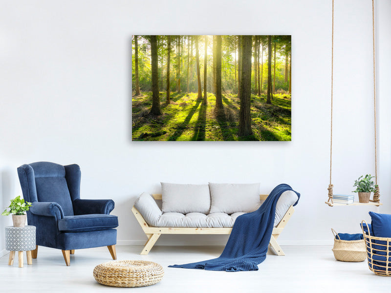5-piece-canvas-print-in-the-middle-of-the-woods